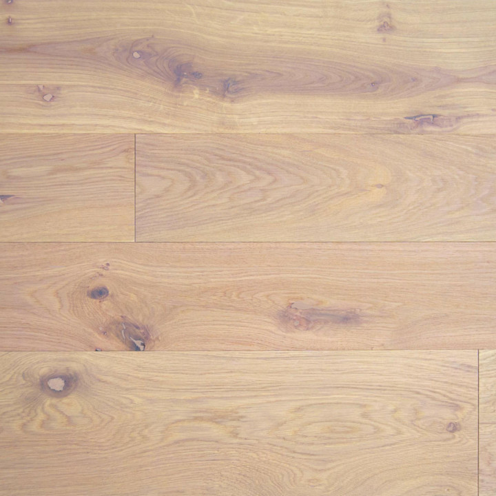 10 QUERCIA SABBIA