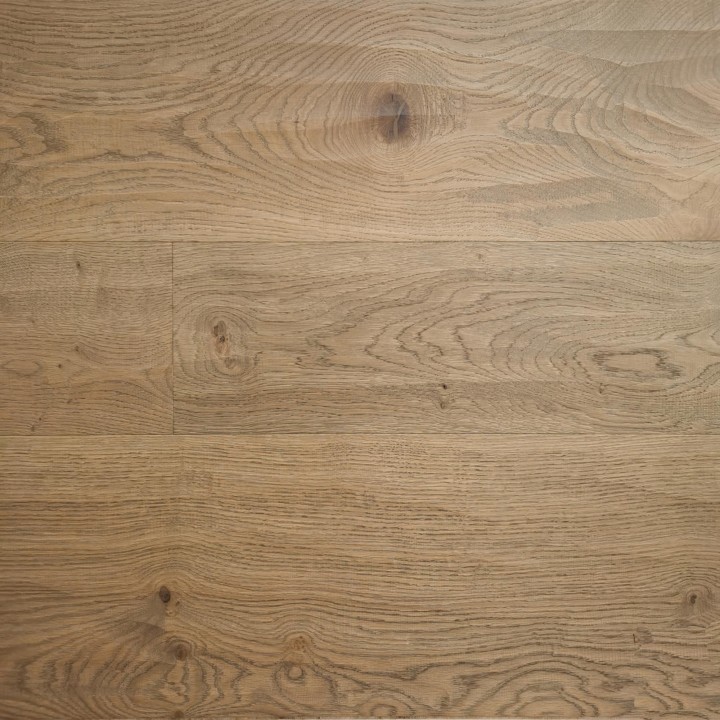 17 QUERCIA TOSCANA