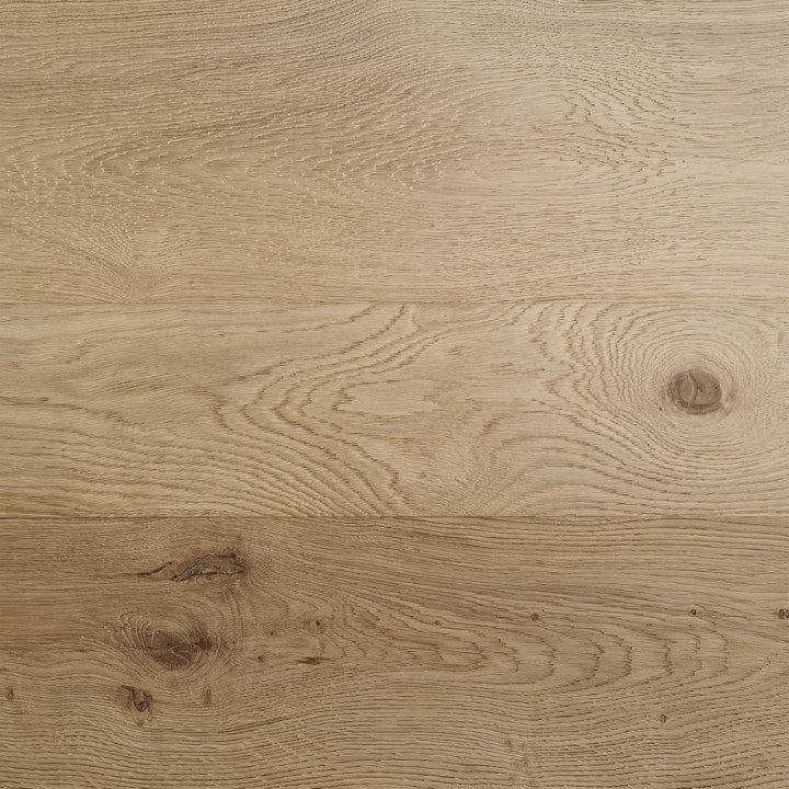 24 QUERCIA DI GIADA
