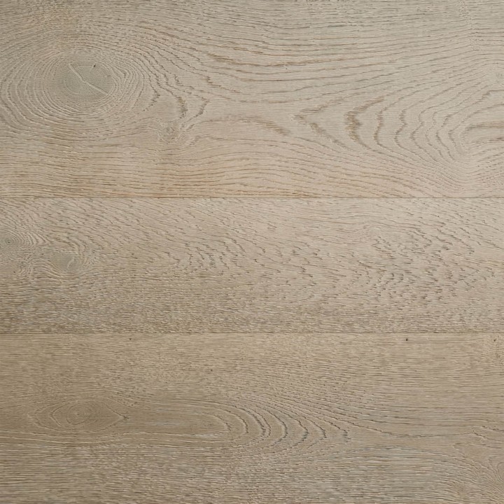 28 QUERCIA D'ARGENTO